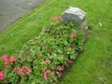 image of grave number 178870